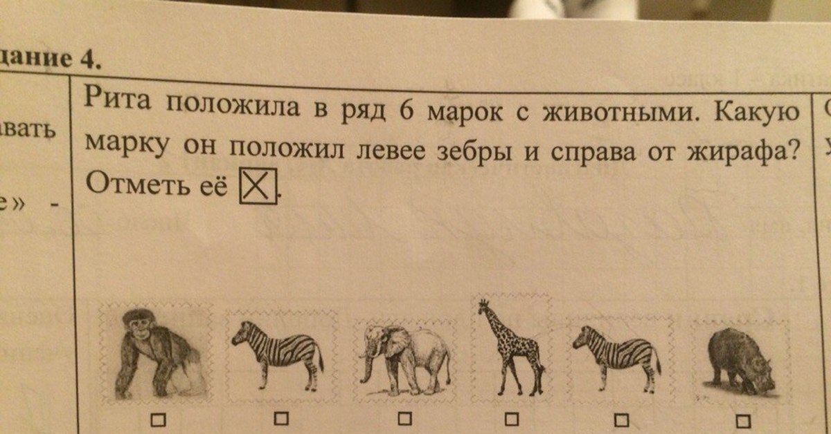 2000 какого животного. Детские задачи с животными. Задача про жирафа. Задания смешные с животными. Год рождения 1928 какое животное.