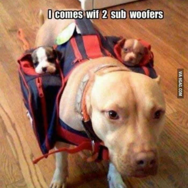 ������ ��� ��� ������) (�������)