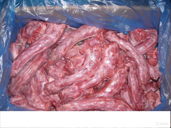 самая дешевая еда для кошек. Смотреть фото самая дешевая еда для кошек. Смотреть картинку самая дешевая еда для кошек. Картинка про самая дешевая еда для кошек. Фото самая дешевая еда для кошек самая дешевая еда для кошек. Смотреть фото самая дешевая еда для кошек. Смотреть картинку самая дешевая еда для кошек. Картинка про самая дешевая еда для кошек. Фото самая дешевая еда для кошек