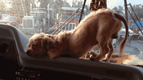  ,  , , , , 