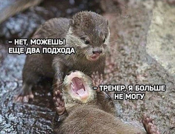 Я больше не могу!