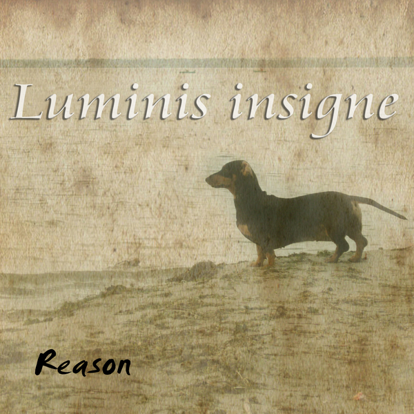 Luminis Insigne -     ! , One-man-band, , Sci-fi,  ,  , Electronic, , 