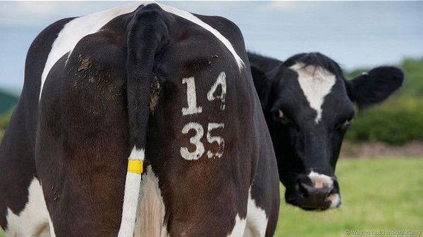 С чего начинается Украина.