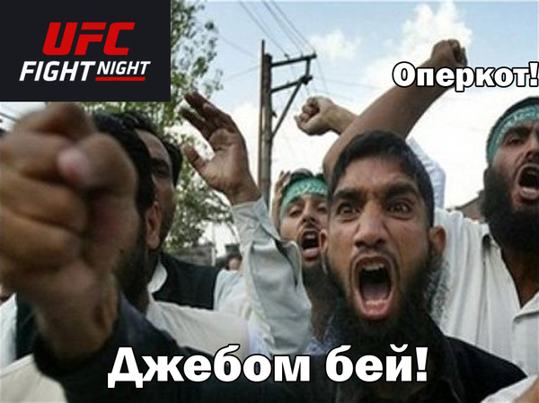     UFC    . UFC,  