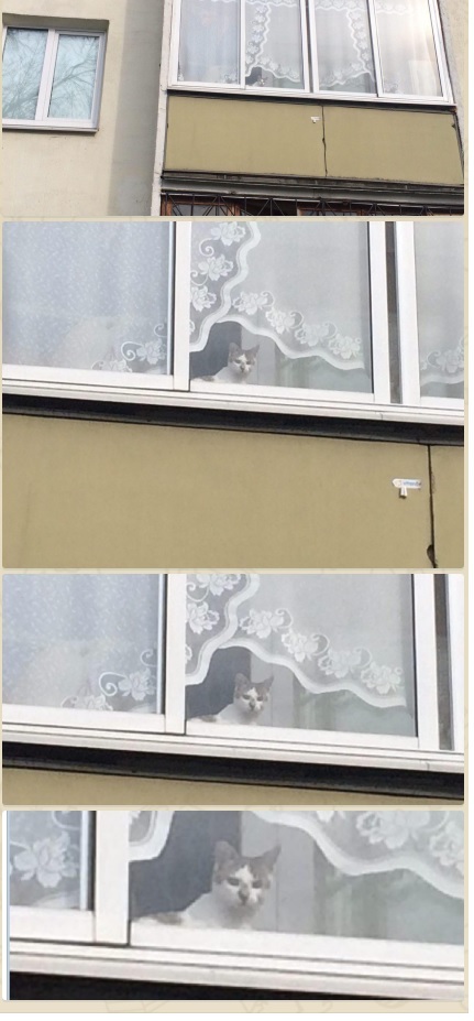 ��, �� ������ �������� ��� ����