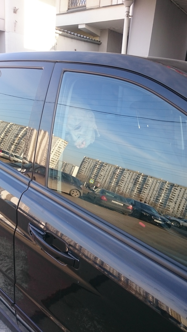 Стойкий цвет в любой ситуации