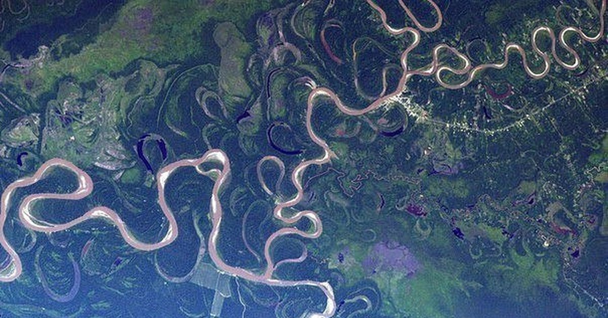 Вторая длиннейшая река. Амазонка река вид из космоса. Дельта реки Амазонка. Река Амазонка снимок из космоса. Дельта реки Лена из космоса.
