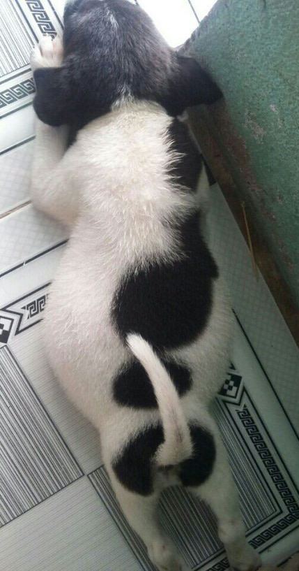 После каждых праздников!