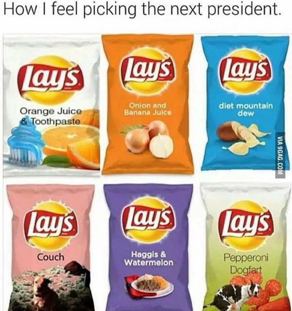 Суть выборов.