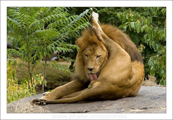 ����� � ��������� ������ ���������� ��� �� ����