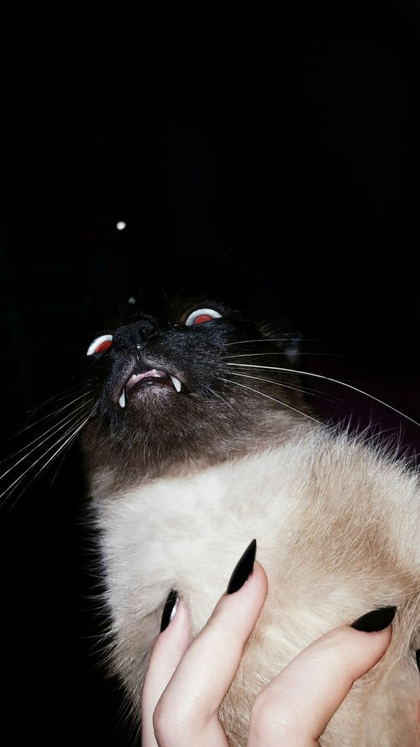 Вызывайте экзорциста!