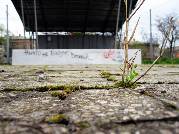 ����� �� ������ ������...