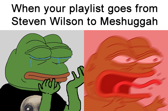Когда в плей-листе после Стивена Вилсона идет Мешуга