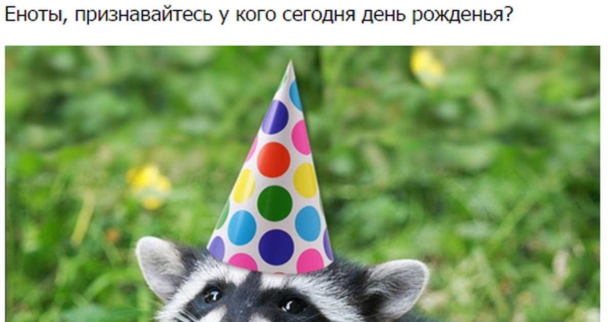 А завтра на работу=(, День рождения, Енот, Вконтакте.