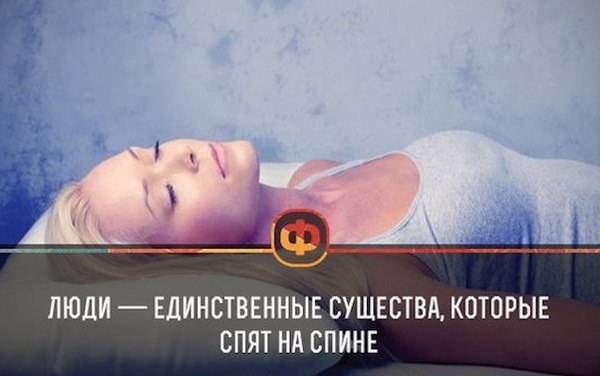 --   ) , , , , 