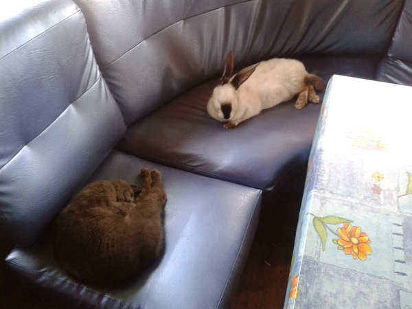 В придорожном кафе :)