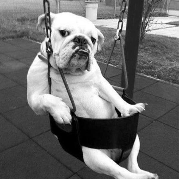 �� �������