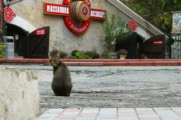 Да вы правы, я жемчужина Крыма.