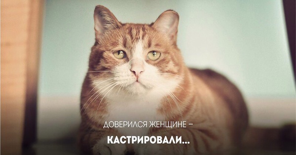 До чего доводят женщины картинки. Смотреть фото До чего доводят женщины картинки. Смотреть картинку До чего доводят женщины картинки. Картинка про До чего доводят женщины картинки. Фото До чего доводят женщины картинки