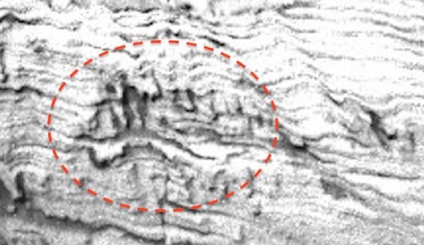 Марсоход сфотографировал бегущего человека