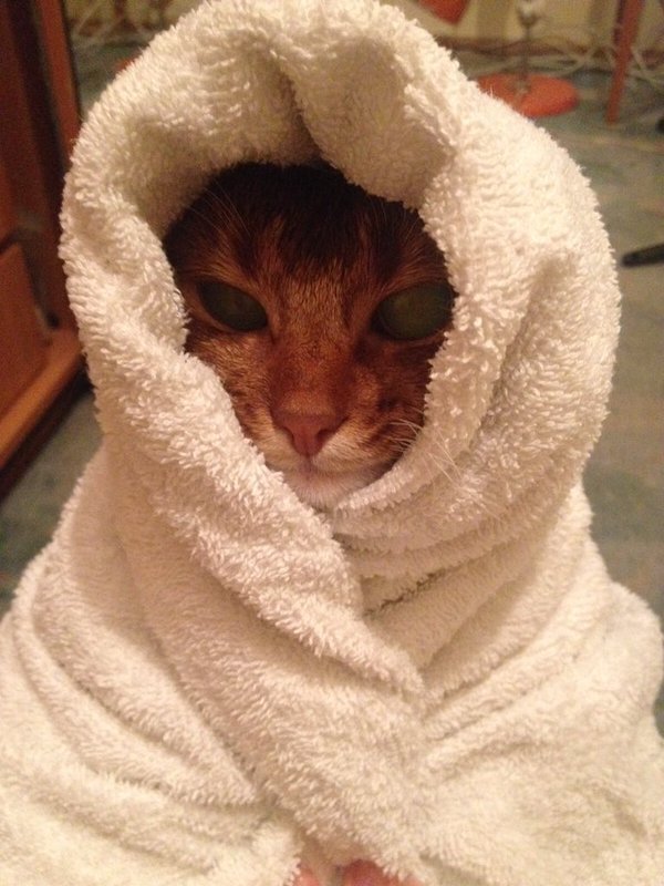 � ��� ��� ������