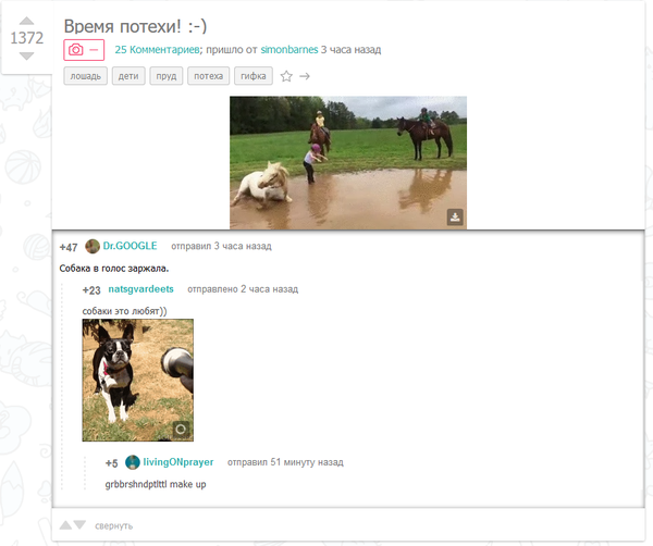 UserScript  Pikabu Userscript, User JS, , 