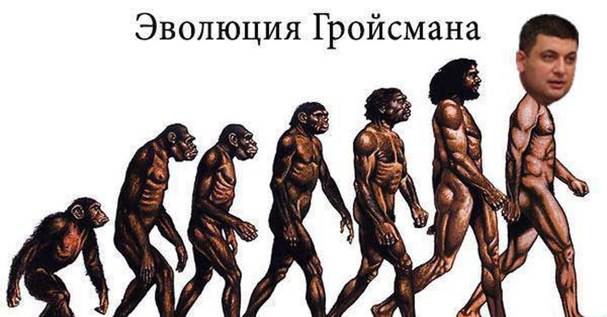 Окнутые люди 1. Эволюция человека Антропогенез. Эволюционная теория. Ветка эволюции человека. Процесс эволюции обезьян.