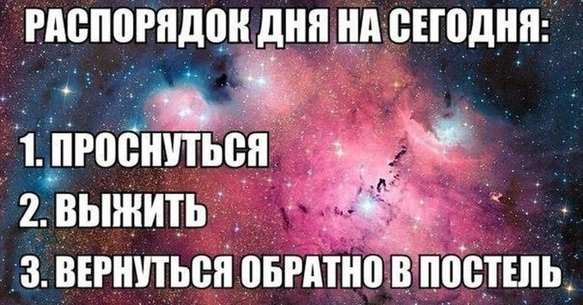 Смешные планы на день