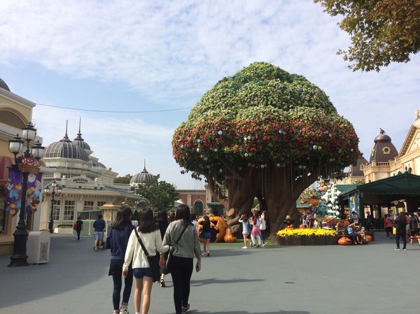  : Everland  , Everland,   ,  , , 