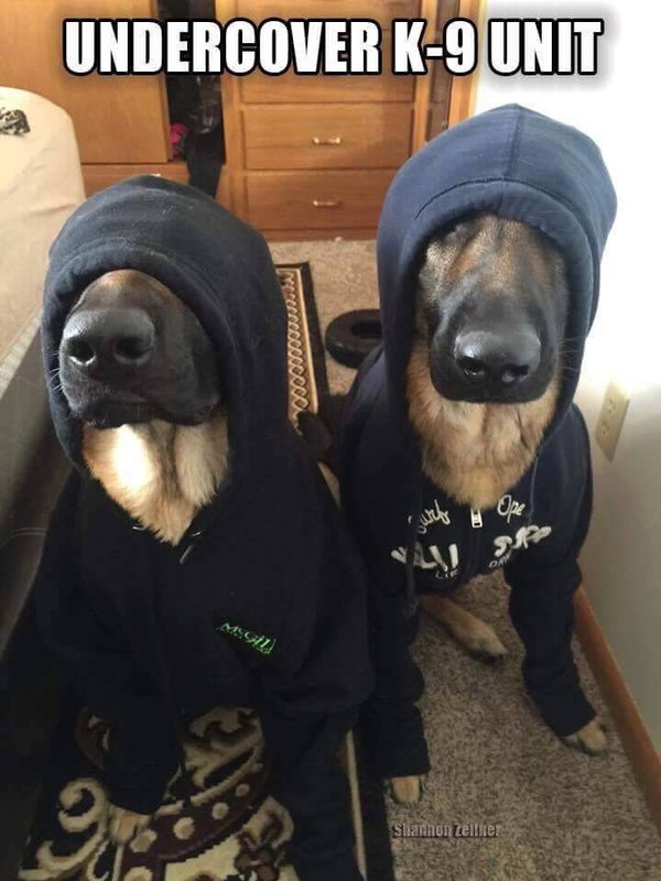       -9, , ,  