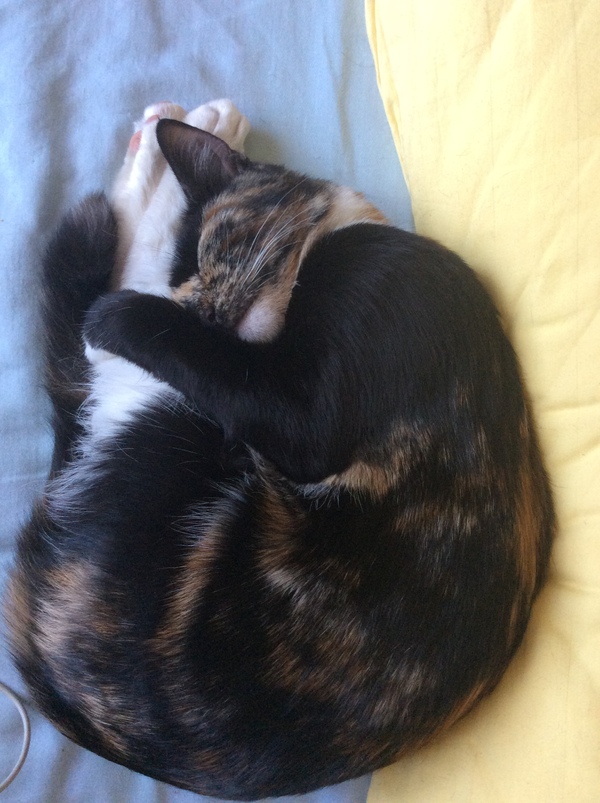 ��������� :)