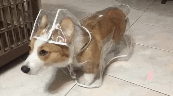 &quot; - ,      ,      &quot;  )