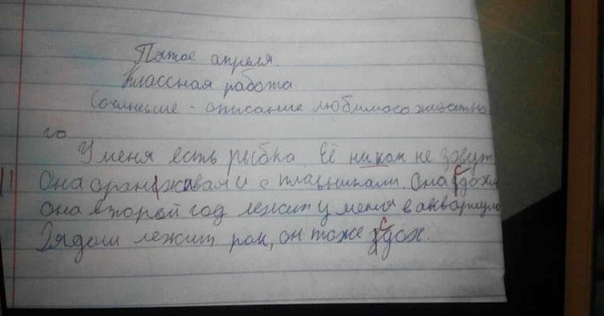 Придумать смешную историю 2 класс. Смешные сочинения детей. Сочинение про йожика. Приколы детских сочинений. Сочинение прикол.