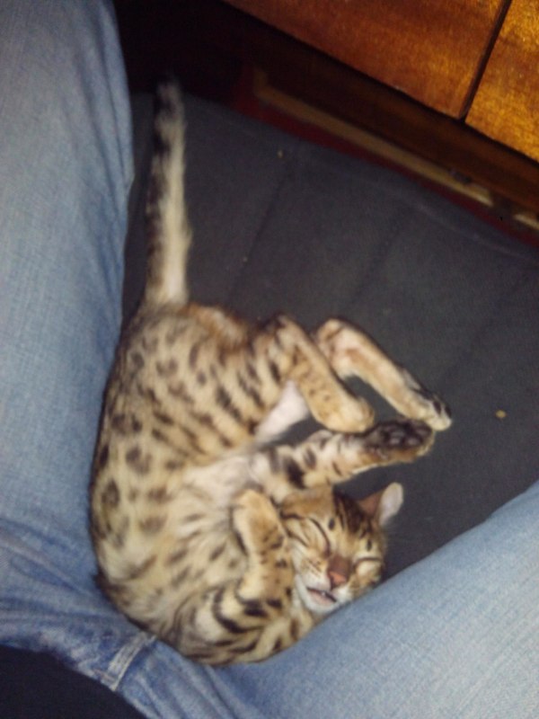 ������ �� ��������� �������, ��� ��� ������