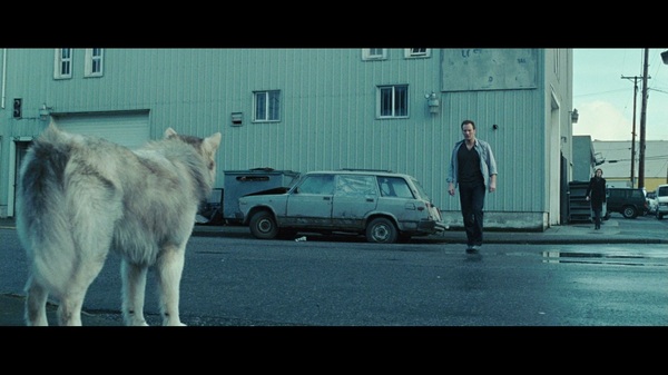 ��� �� �� ������...