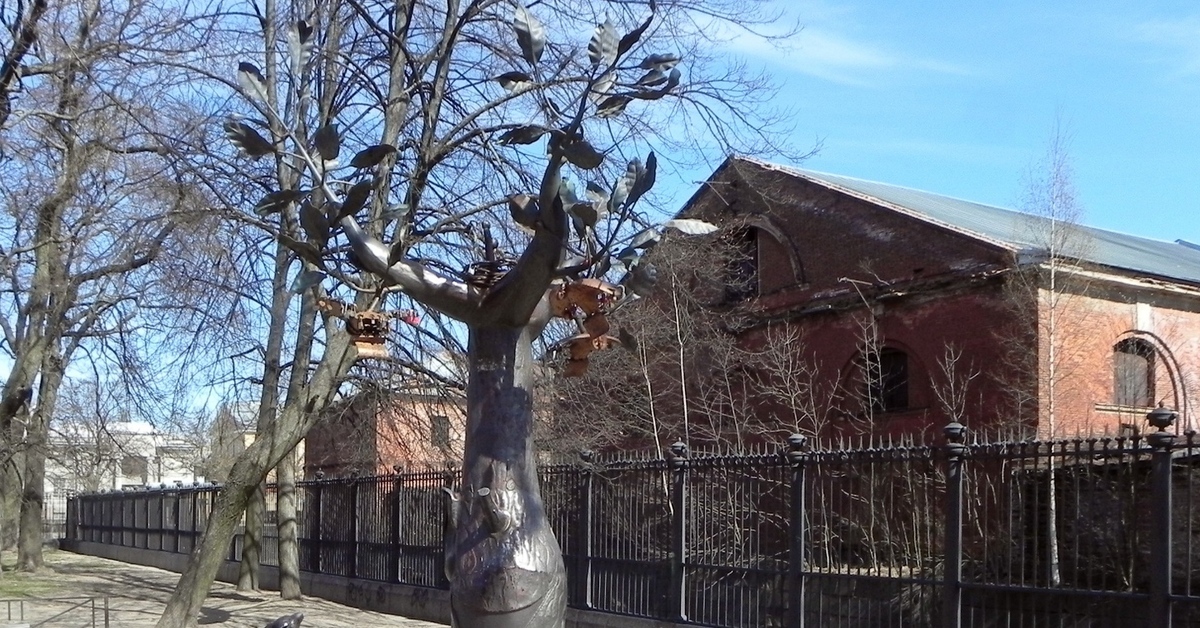 Дерево желаний в кронштадте. Дерево желаний в Кронштадте фото.