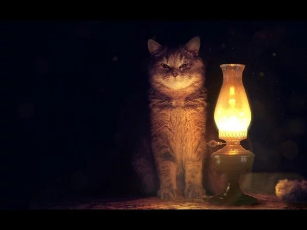 hard worker - Coolstory, My, Longpost, Cat with lamp