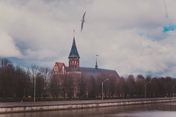деревья в калининграде с шарами что это такое. Смотреть фото деревья в калининграде с шарами что это такое. Смотреть картинку деревья в калининграде с шарами что это такое. Картинка про деревья в калининграде с шарами что это такое. Фото деревья в калининграде с шарами что это такое