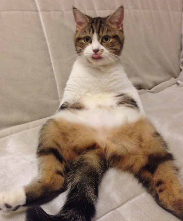 Еще одна история про учительницу