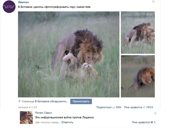 �������� � ��