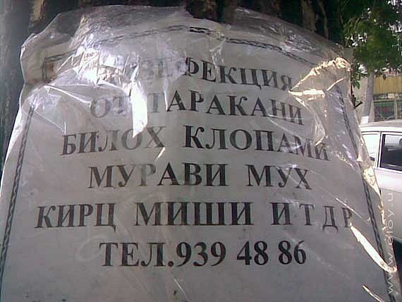 Дезинфекция в Ташкенте