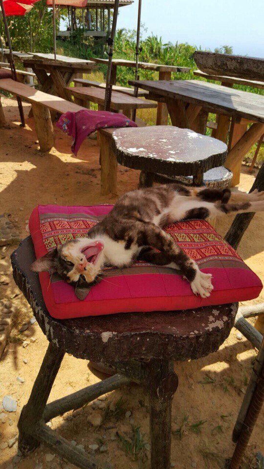 �������!!!