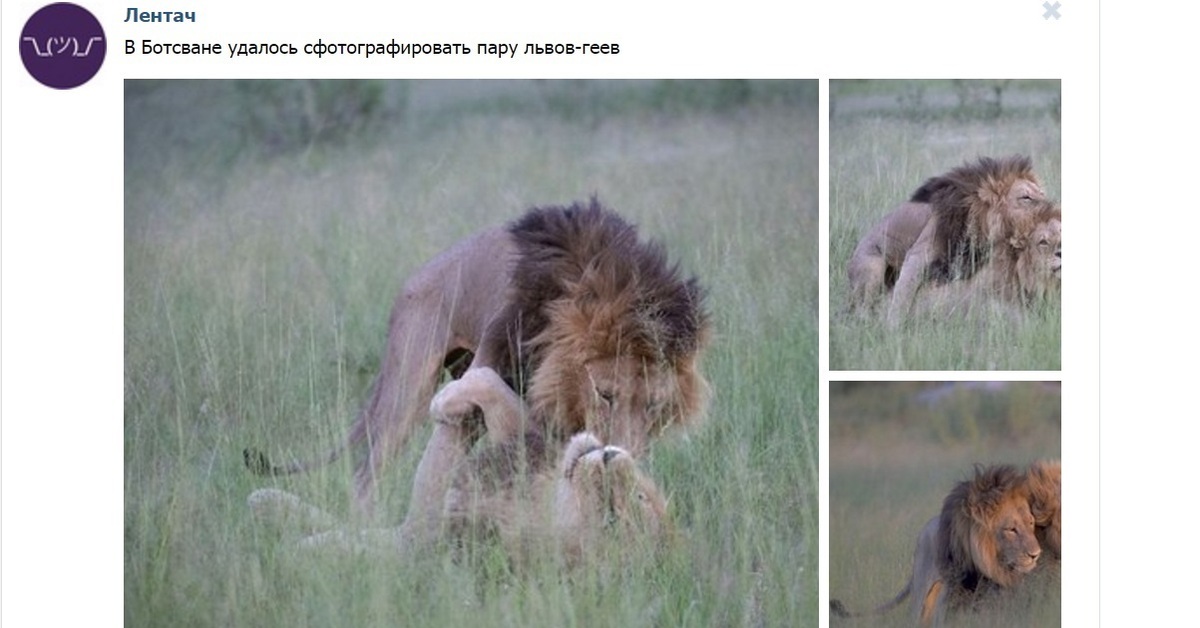 удалось сфотографировать. сфотографированная серная дыра. удалось сфотографировать. удалось сфотографировать. фоткает на телефон.