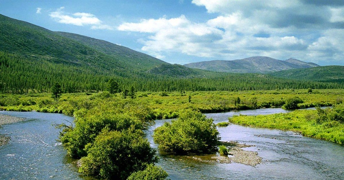 Великие реки россии лена. Верховья реки Лена. Долина реки Лена. Лена — крупнейшая река Восточной Сибири. Река вая Сибирь.