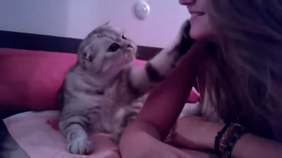 146070934917294725.gif
