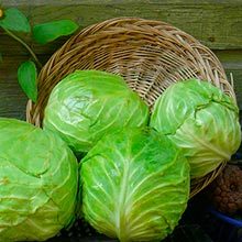 Как ВЫЛЕЧИТЬ КАШЕЛЬ при помощи КАПУСТЫ | Food, Cabbage, Vegetables