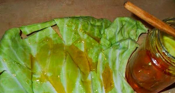 Компресс из листьев капусты при кашле | Пикабу