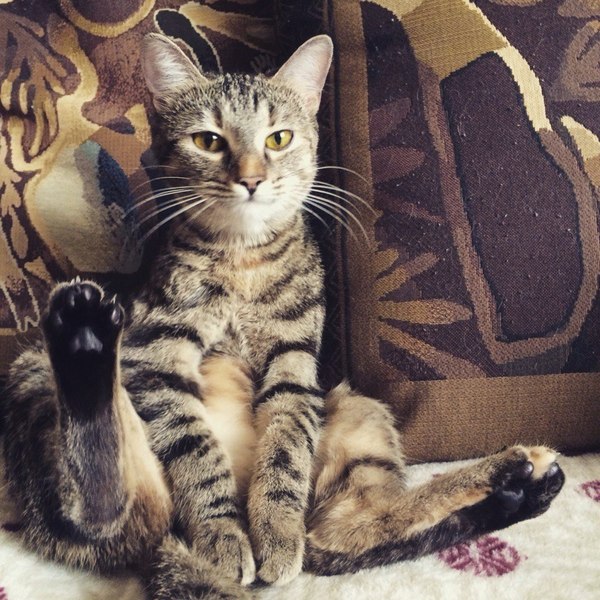 ����� ��������� � ������