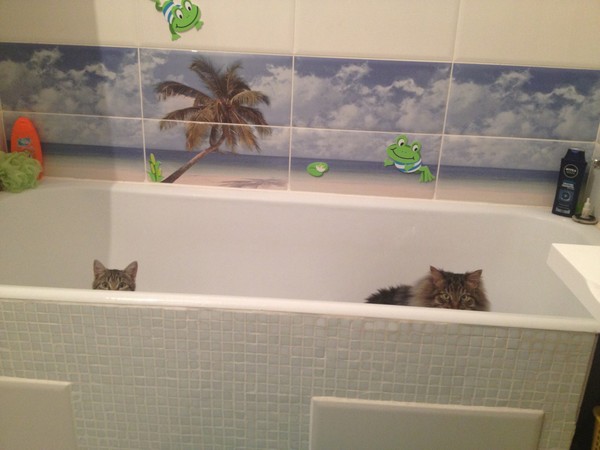 ���������!.... �����..... �� ����� ������!