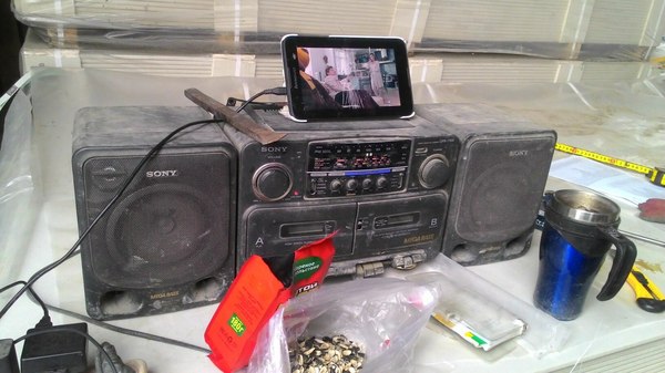 �������� ��������� �� ������ � ����))